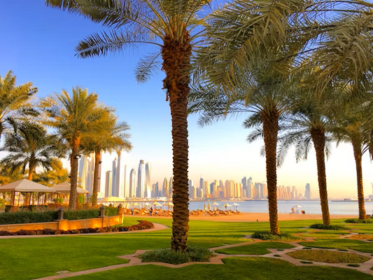 Dubai 5 nights/6 days (3* hotel)